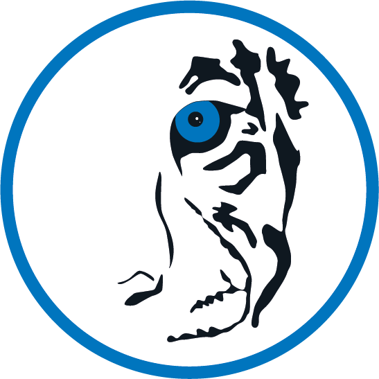 Icon Tiger GmbH Icon Tiger GmbH