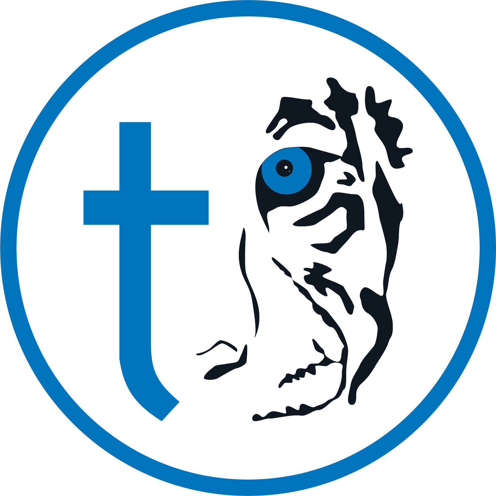 Icon Tiger Gmbh Icon Tiger Gmbh